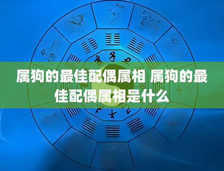 属狗的最佳配偶属相 属狗的最佳配偶属相是什么