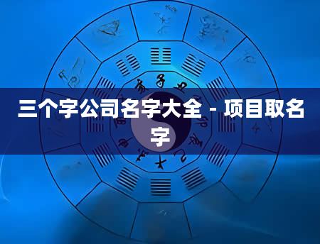 三个字公司名字大全 - 项目取名字