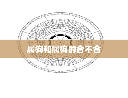 属狗和属狗的合不合