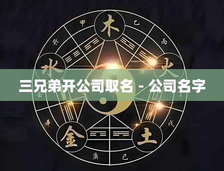 三兄弟开公司取名 - 公司名字