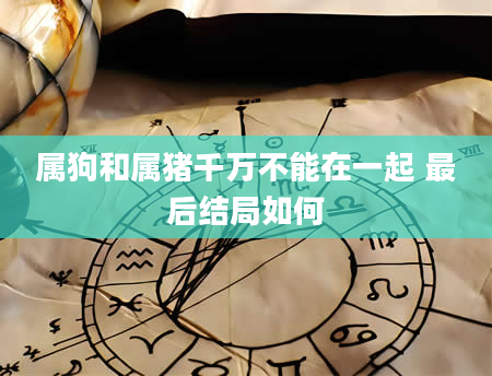 属狗和属猪千万不能在一起 最后结局如何