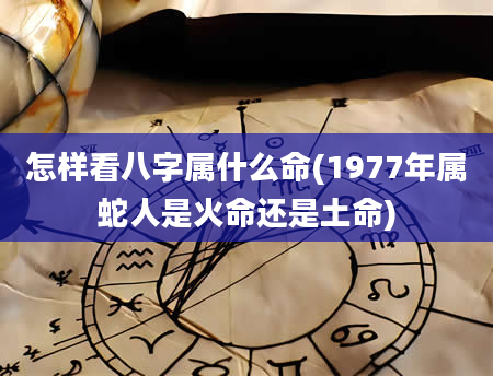 怎样看八字属什么命(1977年属蛇人是火命还是土命)