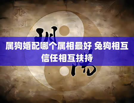 属狗婚配哪个属相最好 兔狗相互信任相互扶持