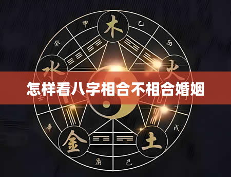 怎样看八字相合不相合婚姻