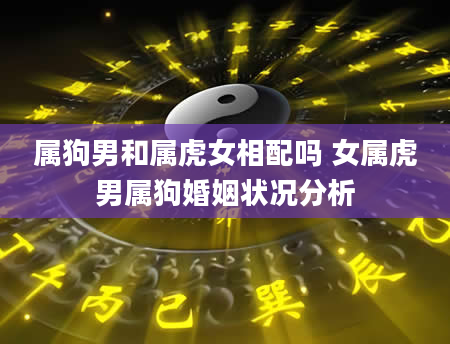 属狗男和属虎女相配吗 女属虎男属狗婚姻状况分析