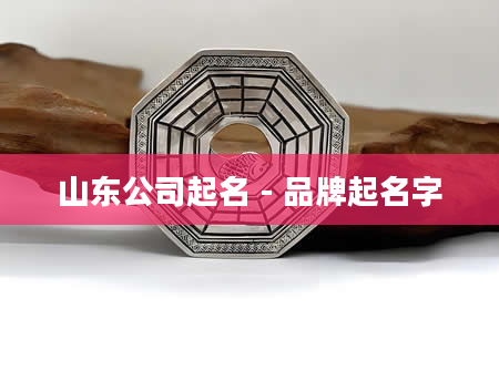 山东公司起名 - 品牌起名字
