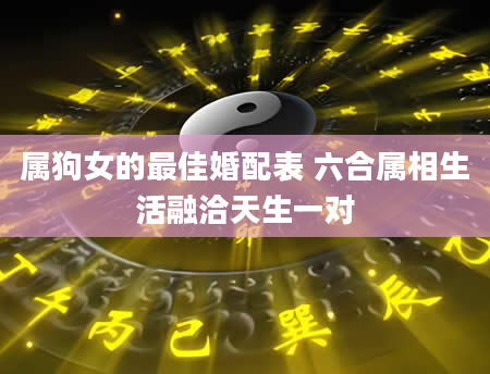 属狗女的最佳婚配表 六合属相生活融洽天生一对