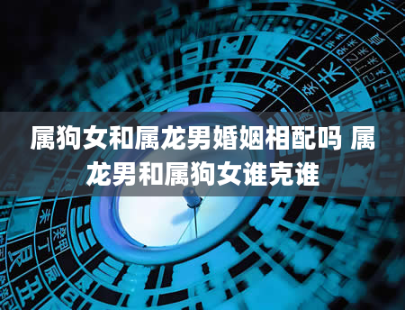 属狗女和属龙男婚姻相配吗 属龙男和属狗女谁克谁