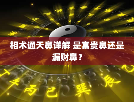 相术通天鼻详解 是富贵鼻还是漏财鼻？