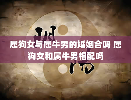属狗女与属牛男的婚姻合吗 属狗女和属牛男相配吗