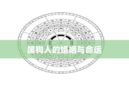 属狗人的婚姻与命运