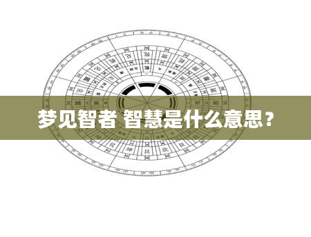 梦见智者 智慧是什么意思？
