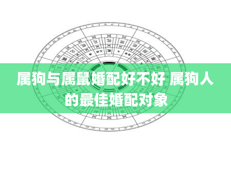 属狗与属鼠婚配好不好 属狗人的最佳婚配对象
