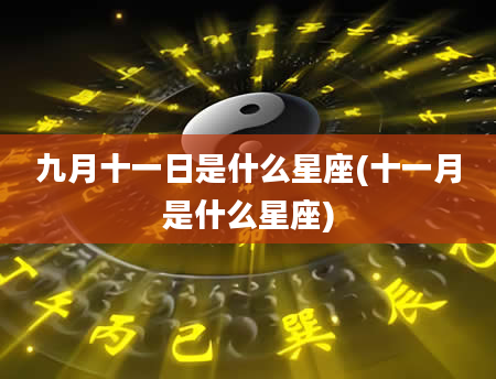 九月十一日是什么星座(十一月是什么星座)