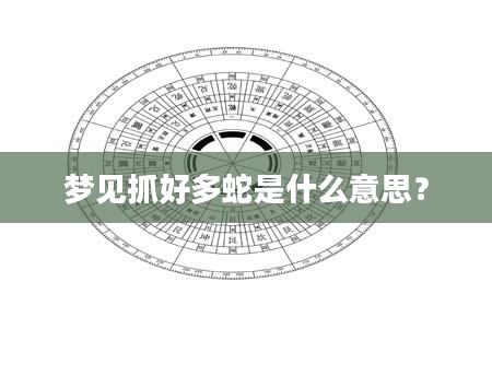 梦见抓好多蛇是什么意思？