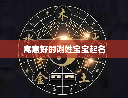 寓意好的谢姓宝宝起名