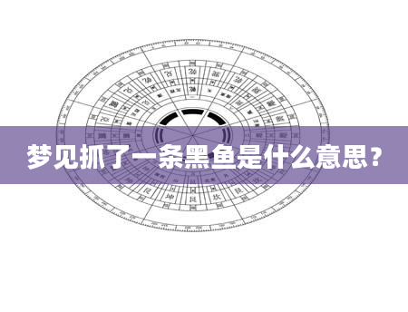 梦见抓了一条黑鱼是什么意思？