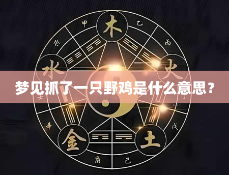 梦见抓了一只野鸡是什么意思？