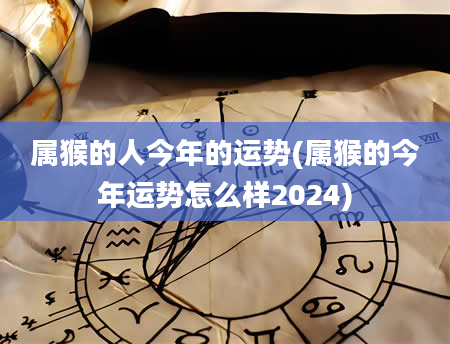 属猴的人今年的运势(属猴的今年运势怎么样2024)