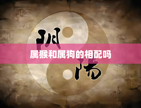 属猴和属狗的相配吗