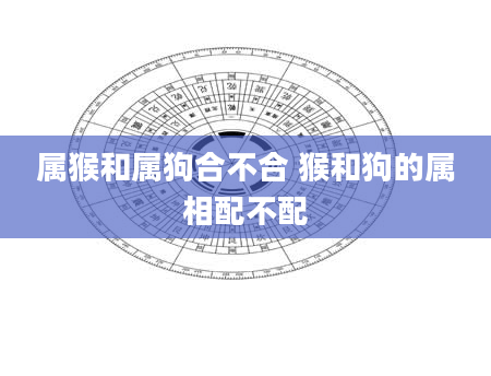 属猴和属狗合不合 猴和狗的属相配不配