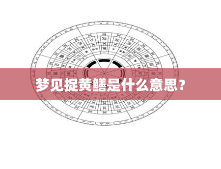 梦见捉黄鳝是什么意思？