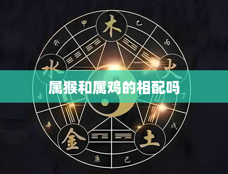 属猴和属鸡的相配吗