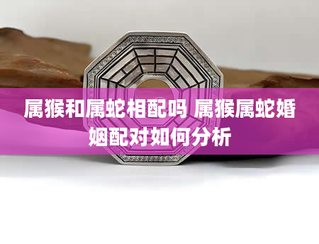 属猴和属蛇相配吗 属猴属蛇婚姻配对如何分析