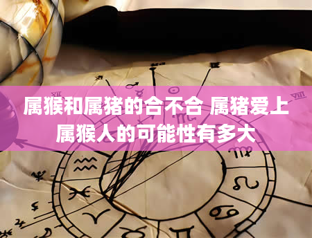 属猴和属猪的合不合 属猪爱上属猴人的可能性有多大