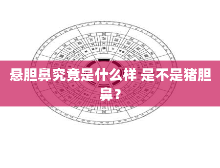 悬胆鼻究竟是什么样 是不是猪胆鼻？