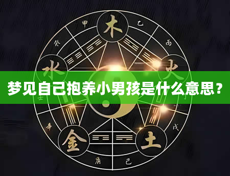 梦见自己抱养小男孩是什么意思？