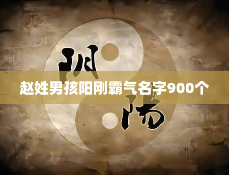 赵姓男孩阳刚霸气名字900个