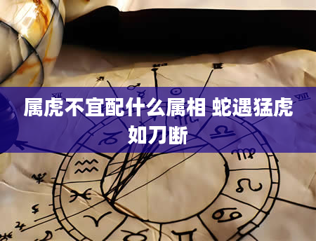 属虎不宜配什么属相 蛇遇猛虎如刀断