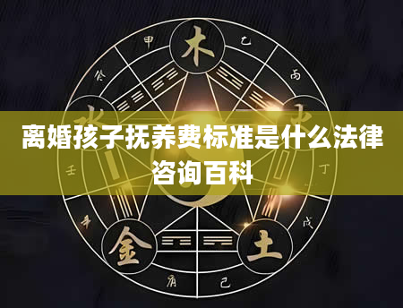 离婚孩子抚养费标准是什么法律咨询百科