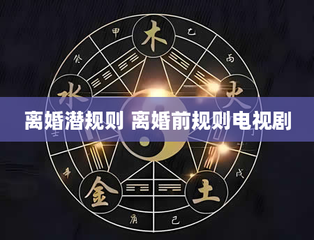 离婚潜规则 离婚前规则电视剧