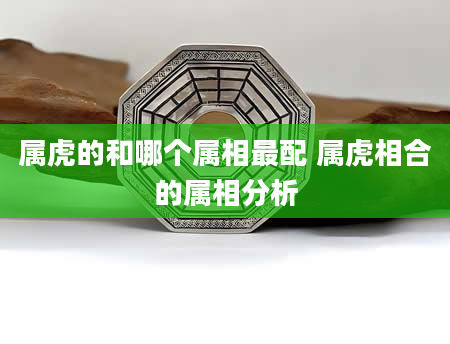 属虎的和哪个属相最配 属虎相合的属相分析