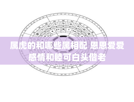 属虎的和哪些属相配 恩恩爱爱感情和睦可白头偕老