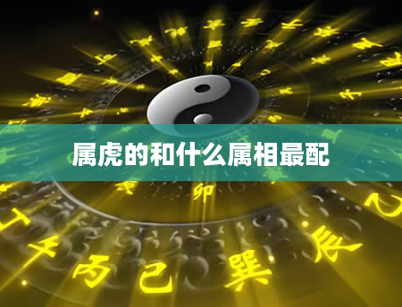 属虎的和什么属相最配