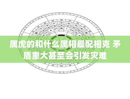 属虎的和什么属相最配相克 矛盾重大甚至会引发灾难