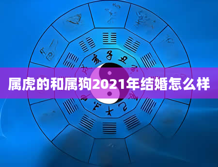 属虎的和属狗2021年结婚怎么样