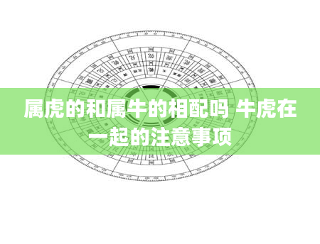 属虎的和属牛的相配吗 牛虎在一起的注意事项