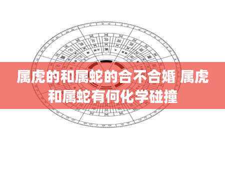 属虎的和属蛇的合不合婚 属虎和属蛇有何化学碰撞