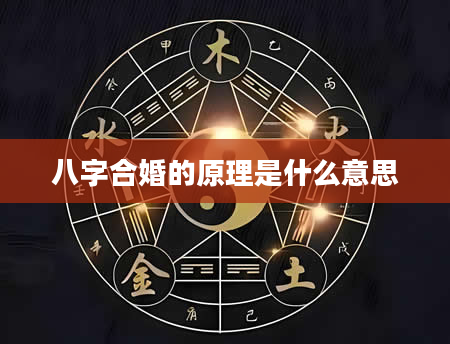 八字合婚的原理是什么意思
