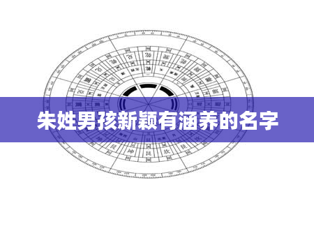 朱姓男孩新颖有涵养的名字