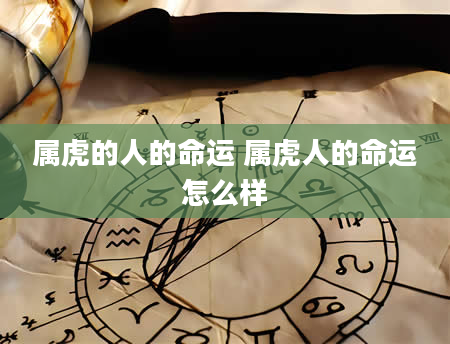 属虎的人的命运 属虎人的命运怎么样