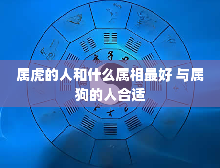 属虎的人和什么属相最好 与属狗的人合适