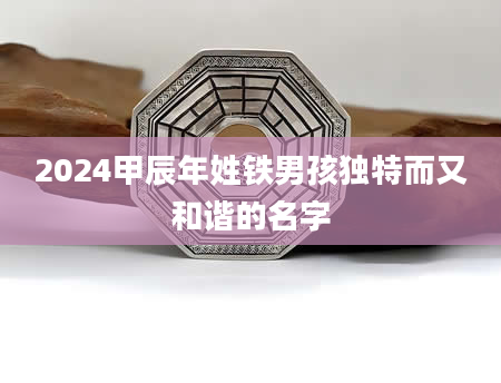 2024甲辰年姓铁男孩独特而又和谐的名字