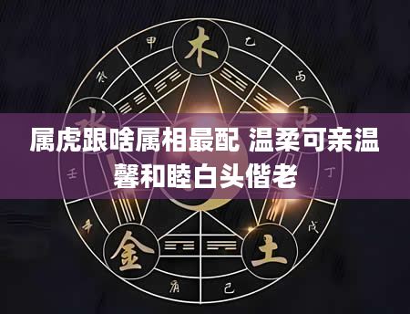 属虎跟啥属相最配 温柔可亲温馨和睦白头偕老