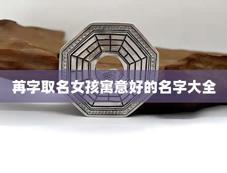 苒字取名女孩寓意好的名字大全
