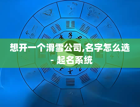 想开一个滑雪公司,名字怎么选 - 起名系统